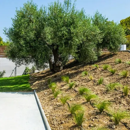 Dionisos Luxury Villa