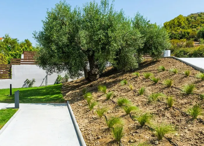 Dionisos Luxury Villa